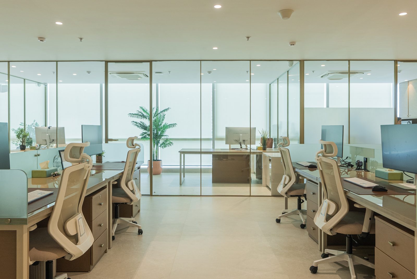 Open workstations in soft daylight between glass partitions